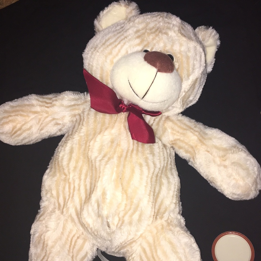 White Teddy Bear